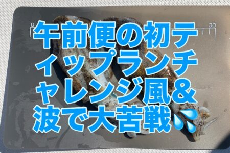 １０月１２日午前便の釣果です🦑
